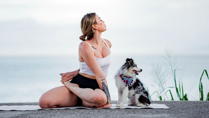 The Zen Zone: Exploring 5 Relaxing Poses for Dogs