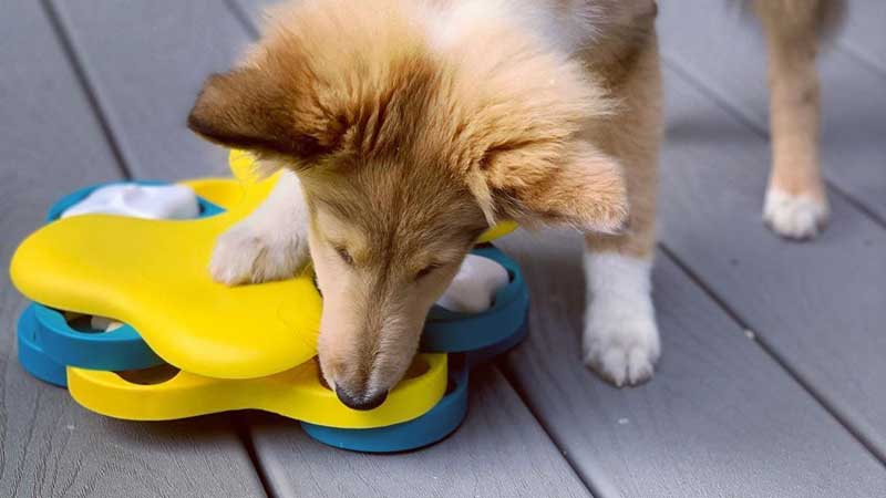 LOOBANI Dogs Food Puzzle Feeder Toys