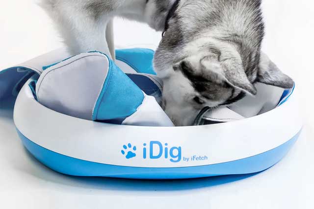 iFetch iDig Stay Dog Toy