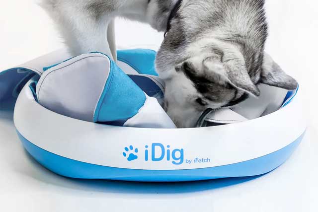 iFetch iDig Stay Dog Toy