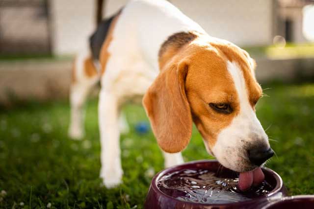 How to help prevent heatstroke