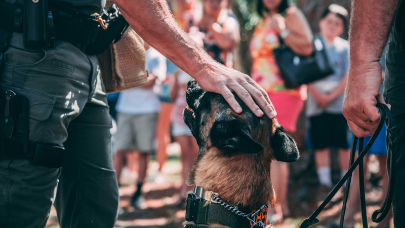 What Happens To A Retired Police Dog?